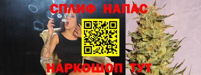 дживик Аша
