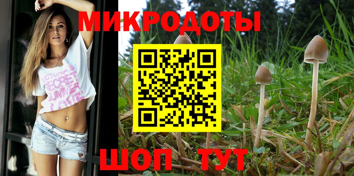 купить наркоту  Псилоцибиновые грибы Magic Shrooms  Вход с VPN  Георгиевск 